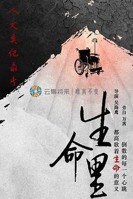 生命里 cover
