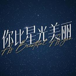 你比星光美麗 cover