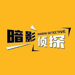 暗影偵探 cover