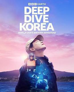 潛進韓國:宋智孝的海女冒險 cover
