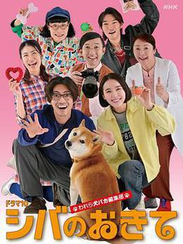 柴犬的規矩～我們這群狗痴編輯部～ cover