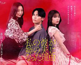 我男友成了姐夫的理由 cover