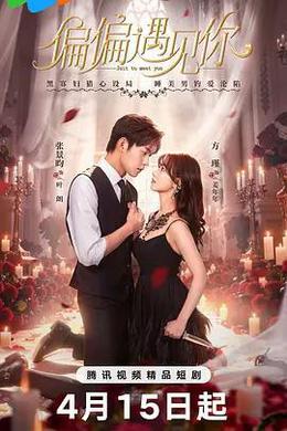 偏偏遇見你 cover